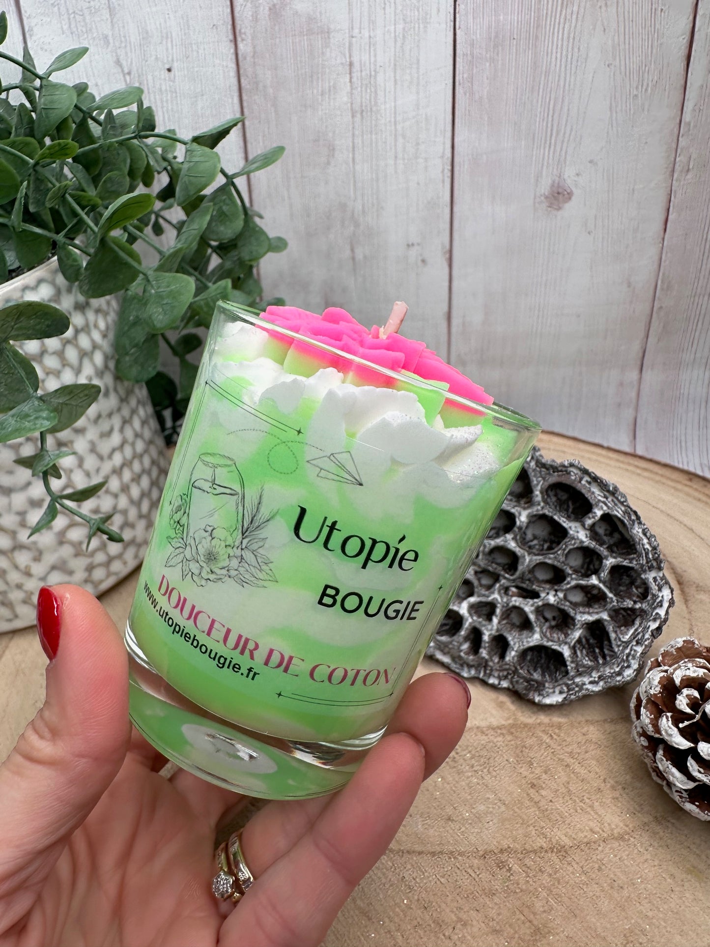 Gourmande 'Douceur de Coton'