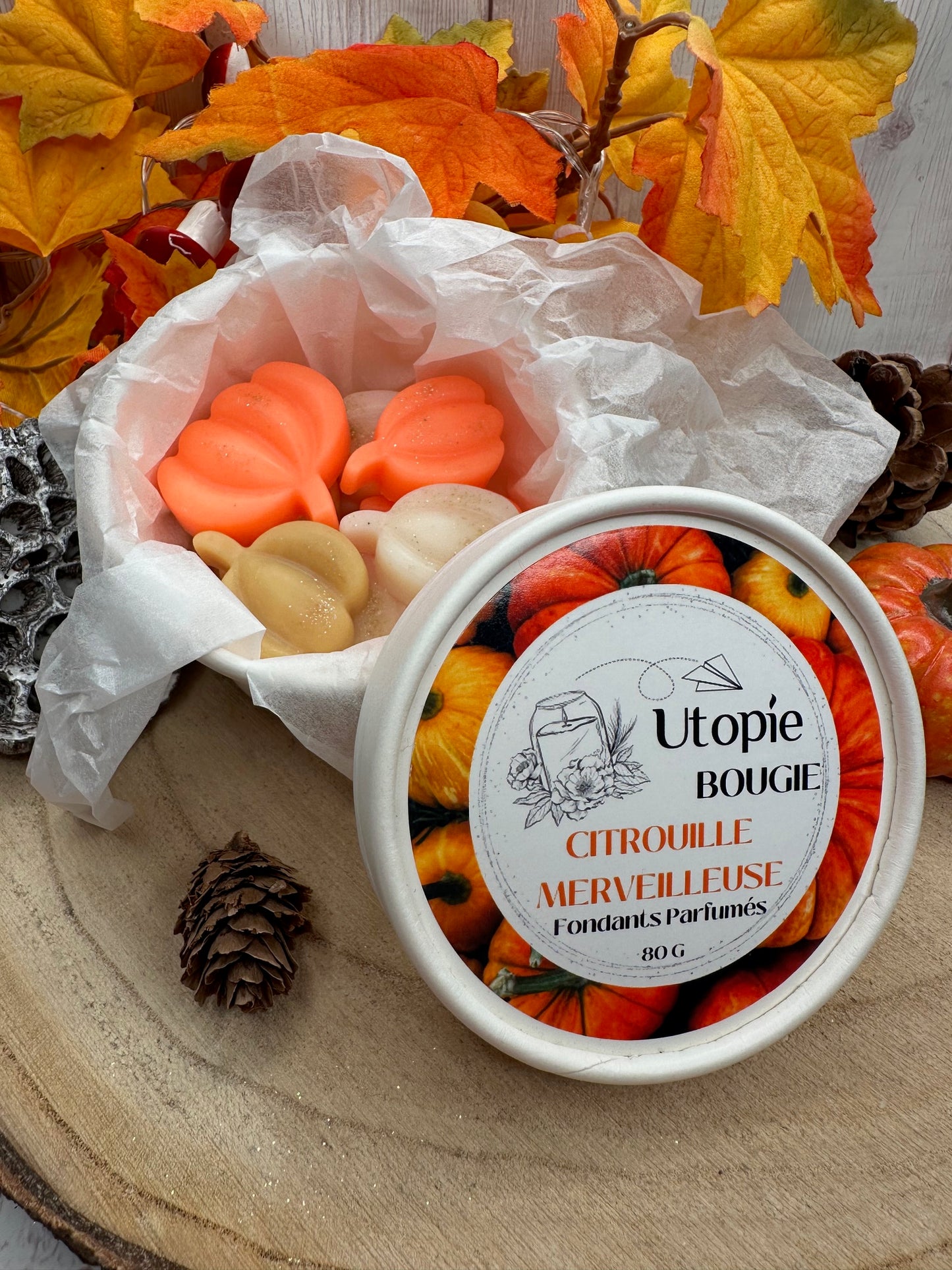 Citrouille 'Citrouille Merveilleuse'