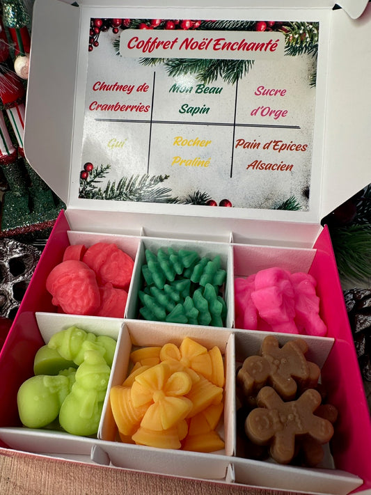 Coffret Noël Enchanté