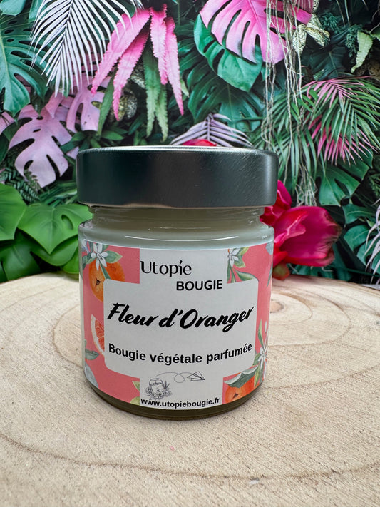 Fleur d'Oranger