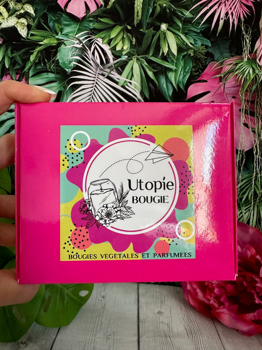 Bougies Chauffe-Plats Végétales (x14) avec Godet