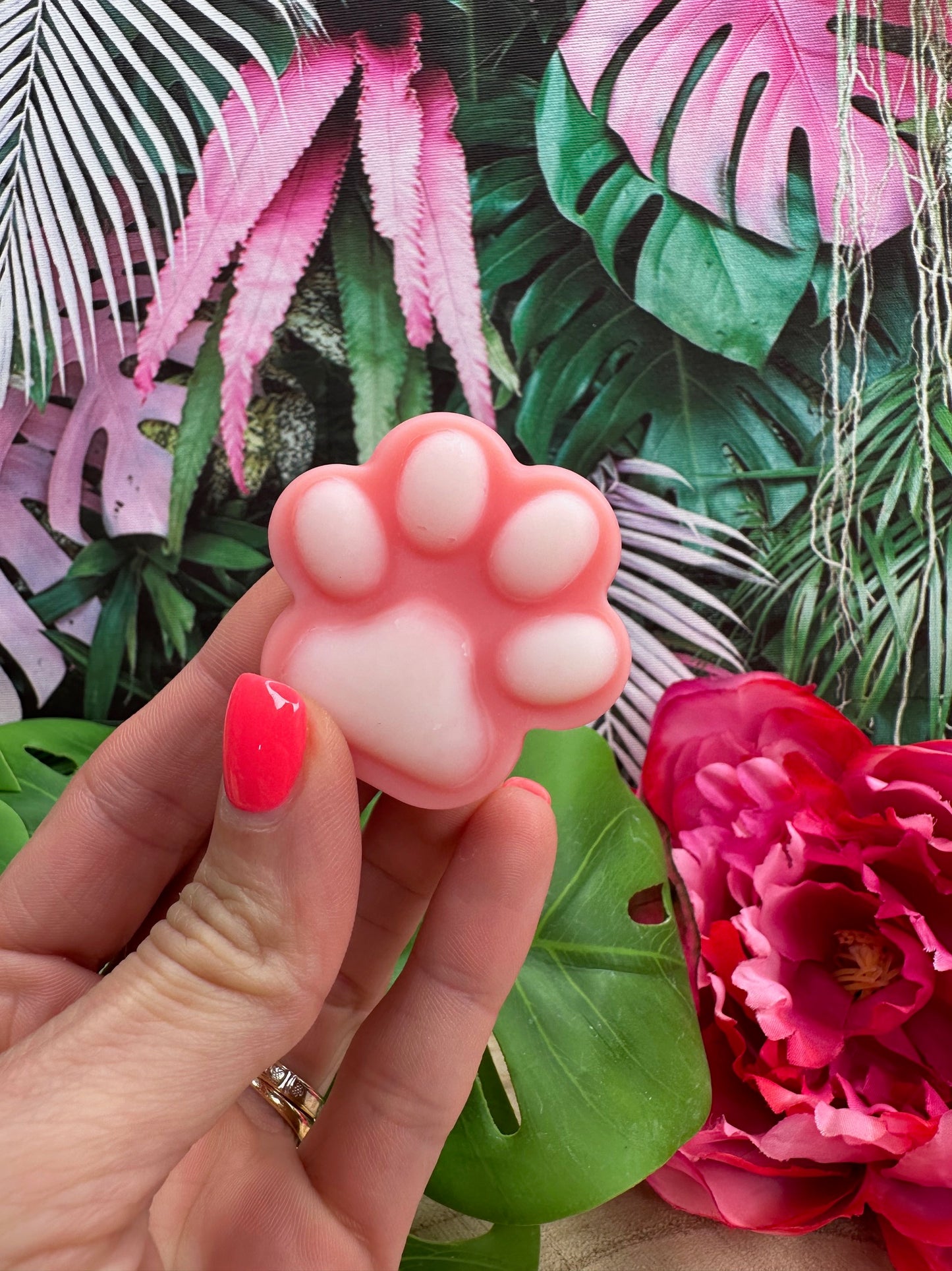 Patounes 'Coquelicot'