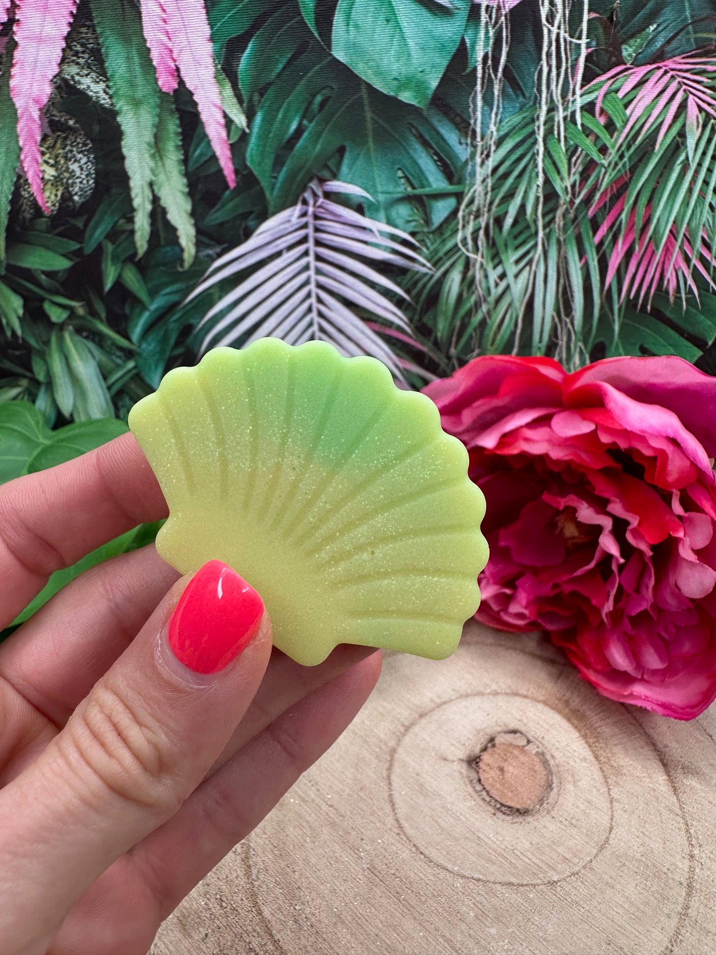 Coquille 'Ananas'