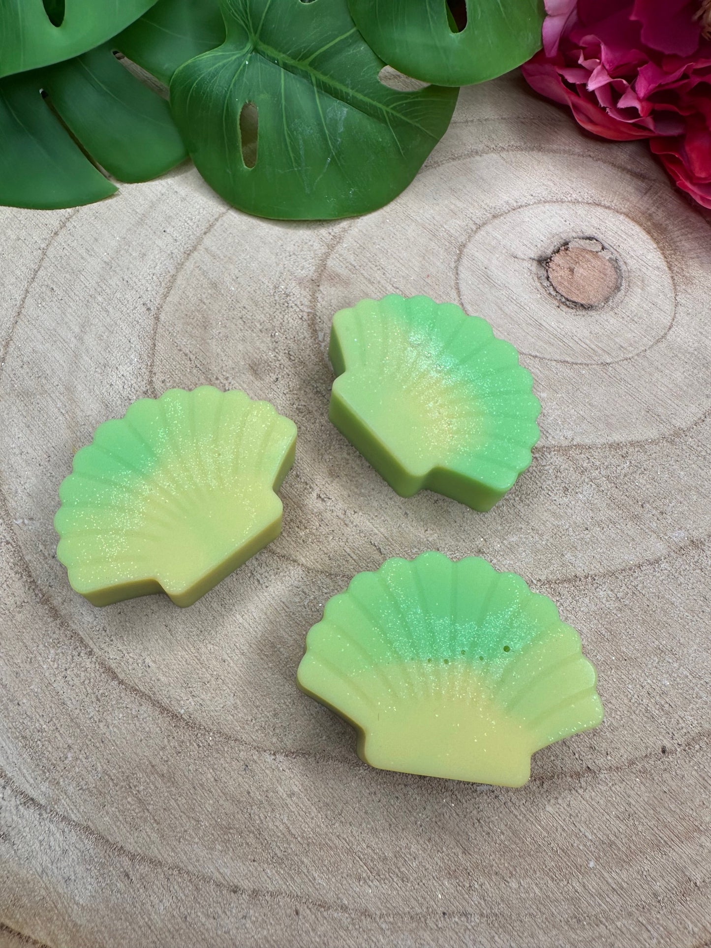 Coquille 'Ananas'