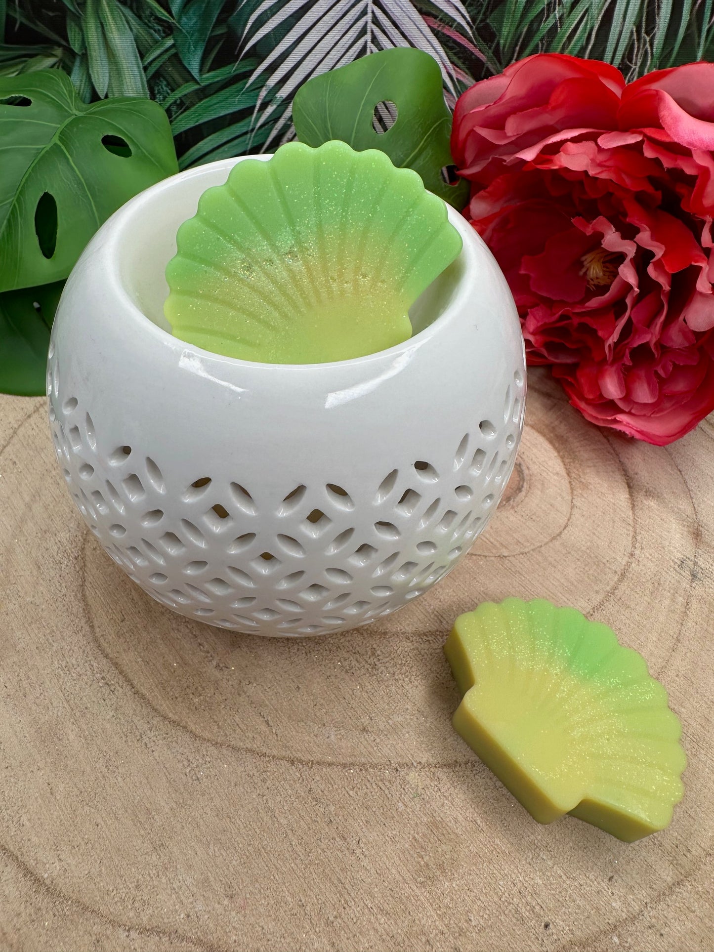 Coquille 'Ananas'