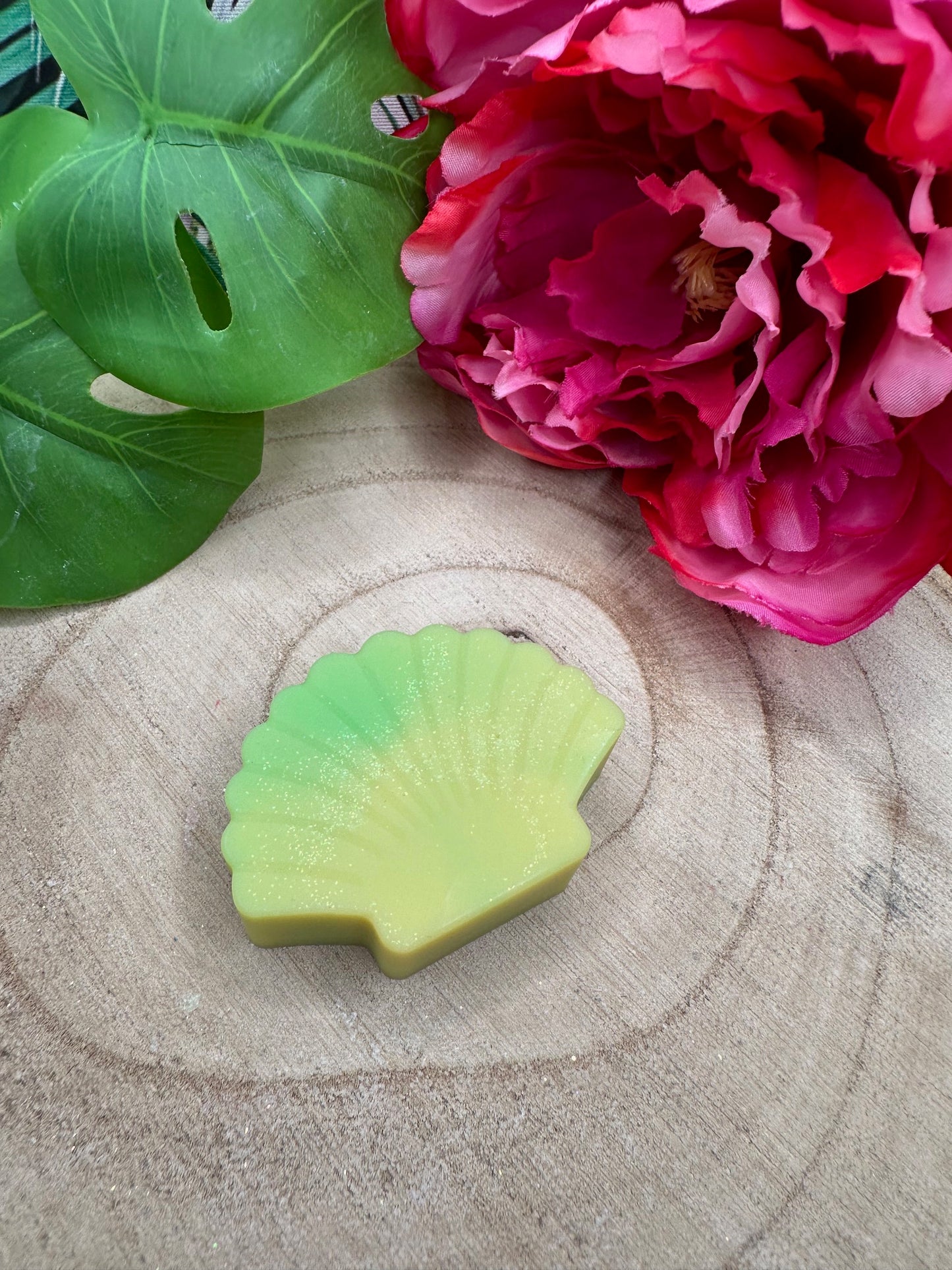 Coquille 'Ananas'