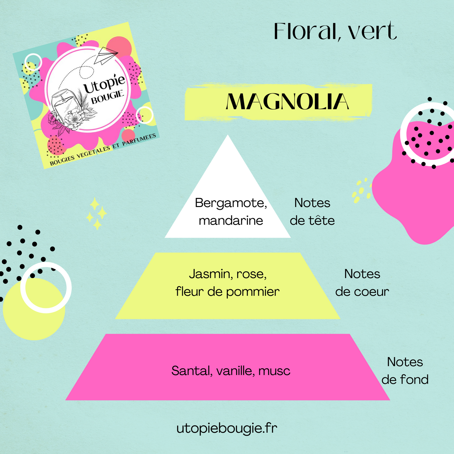 Magnolia