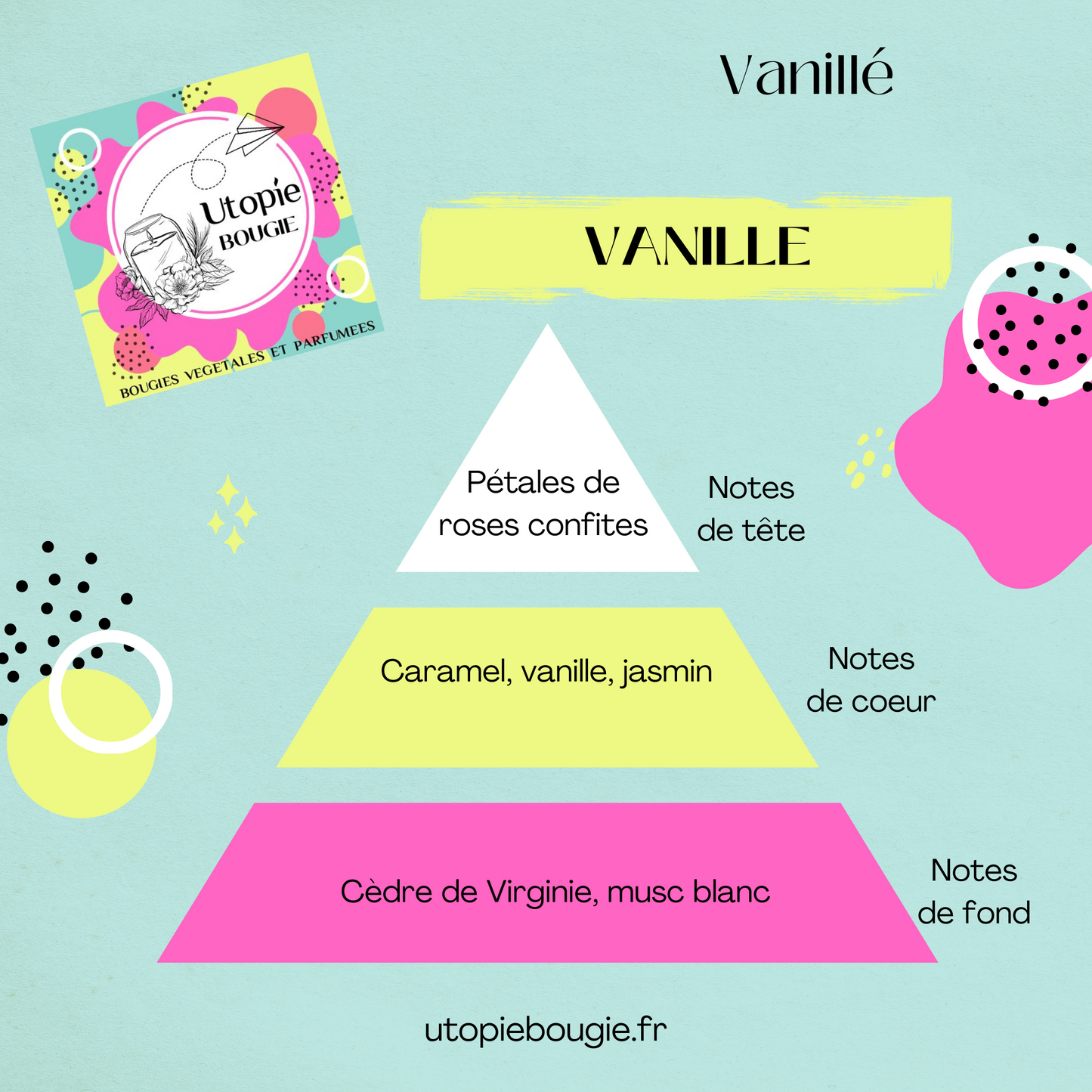 Décorative 'Vanille'