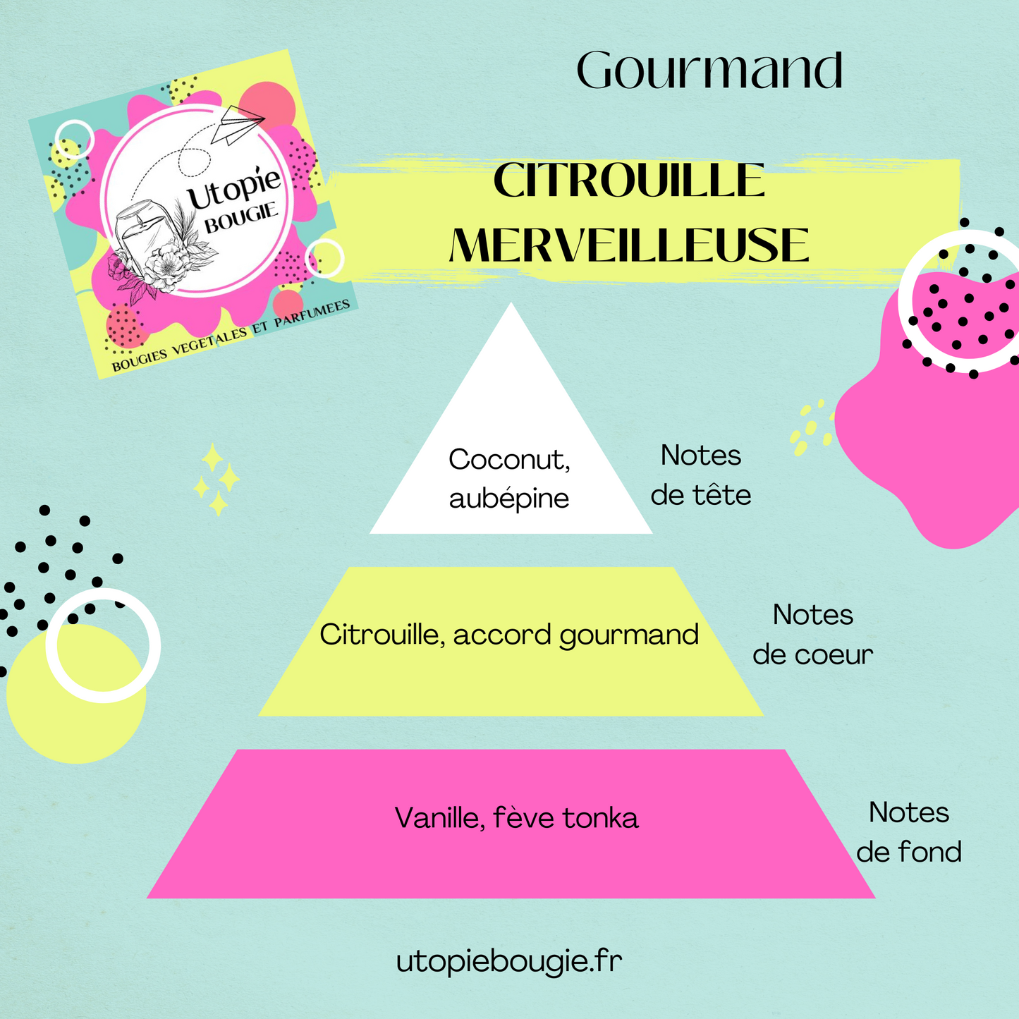 Citrouille 'Citrouille Merveilleuse'