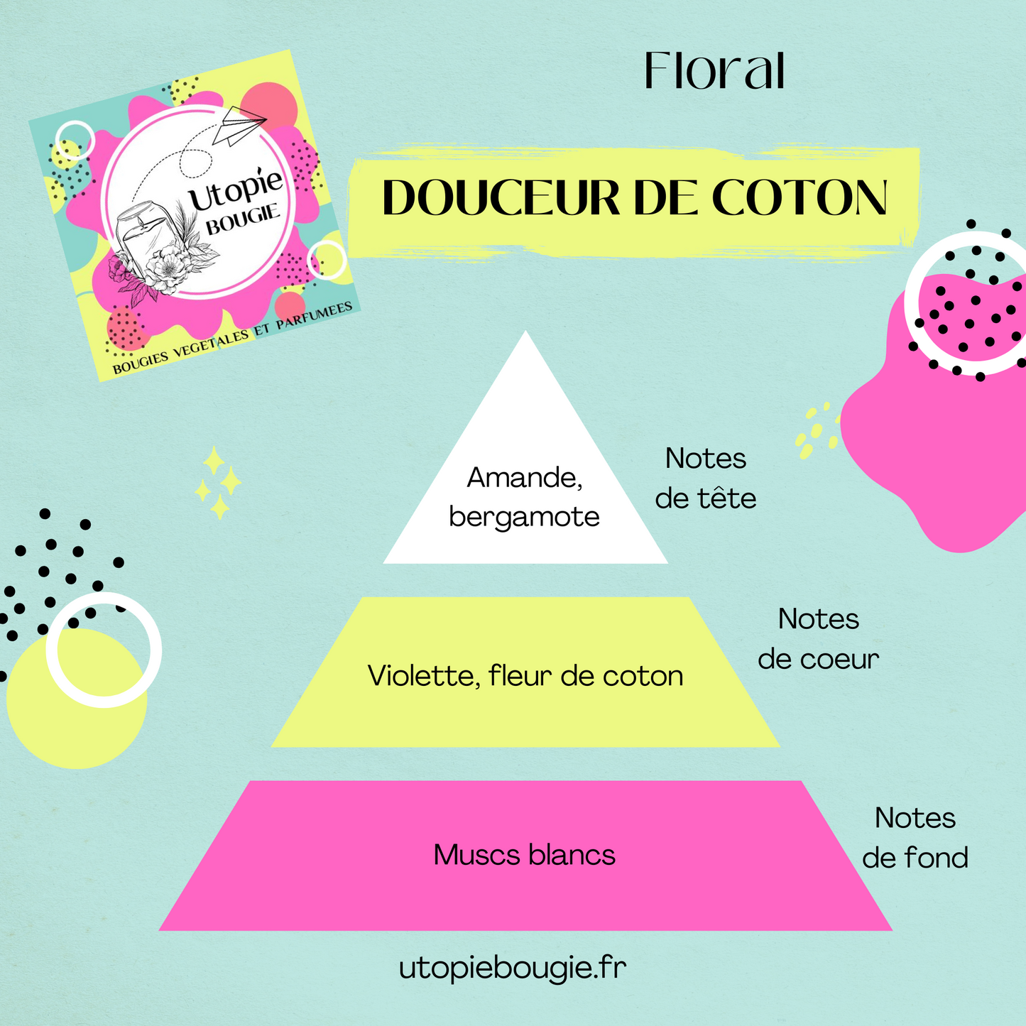 Tortue 'Douceur de Coton'