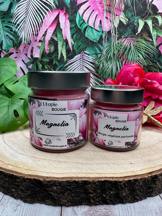 Magnolia