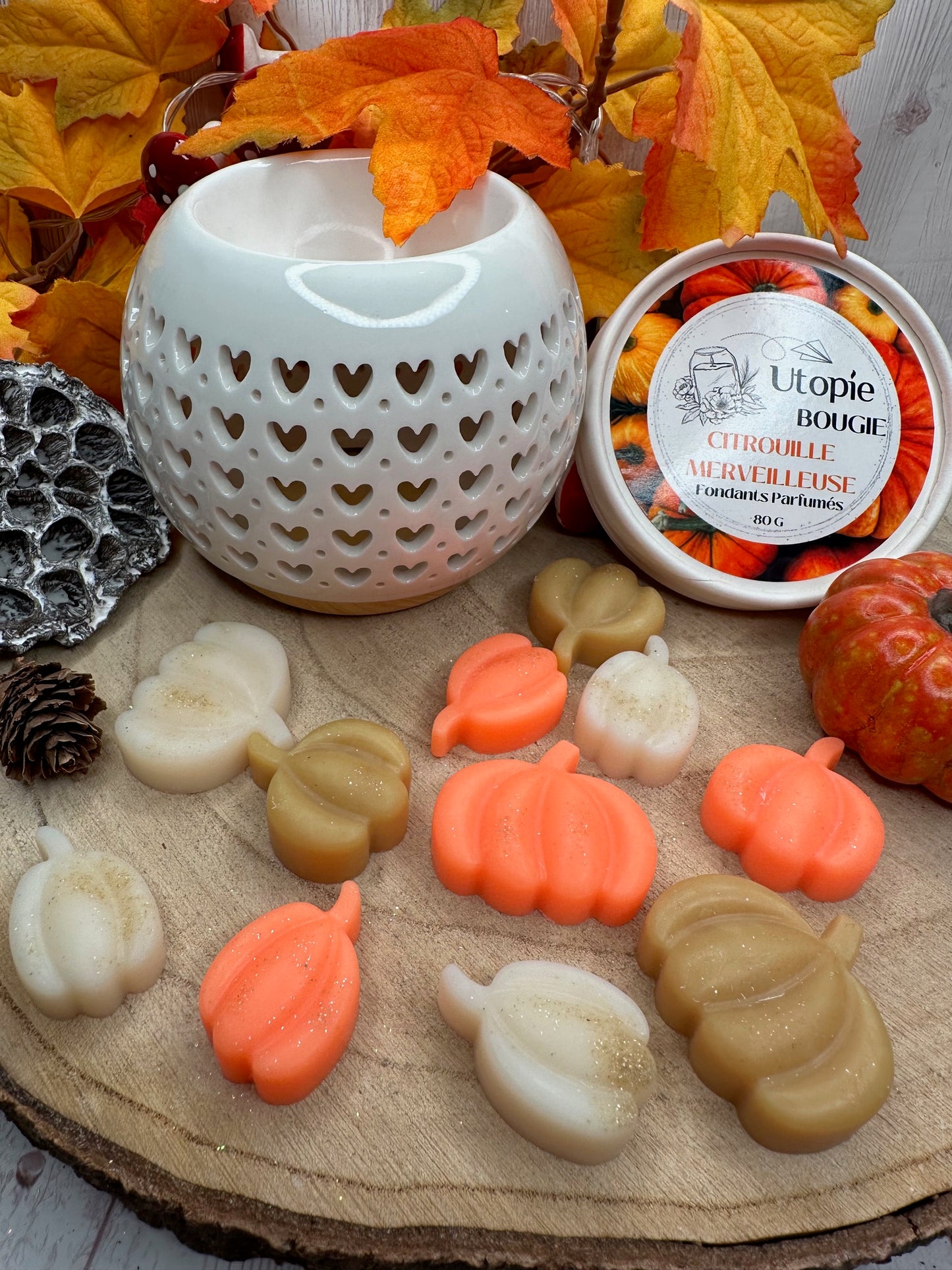 Citrouille 'Citrouille Merveilleuse'