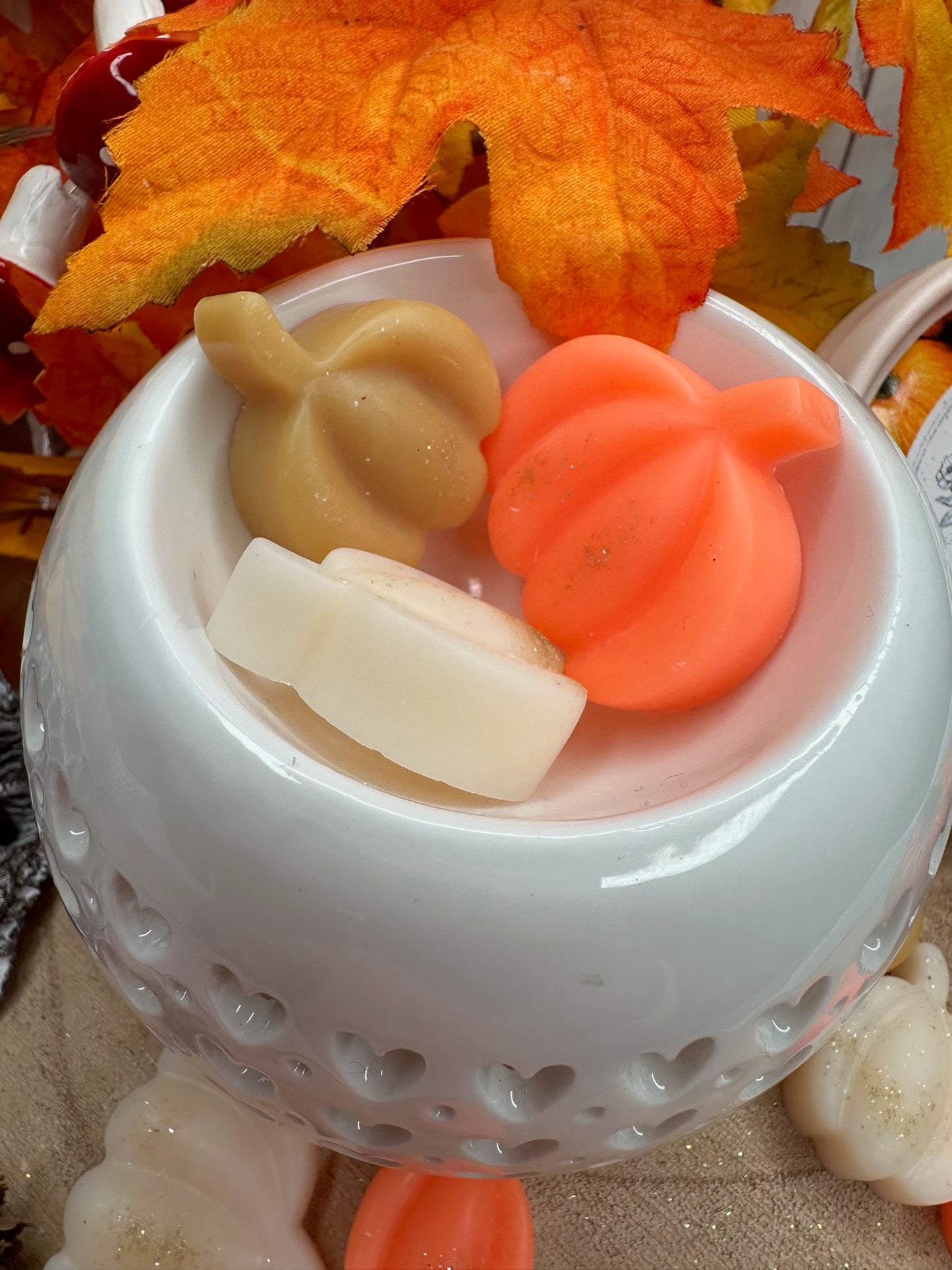 Citrouille 'Citrouille Merveilleuse'