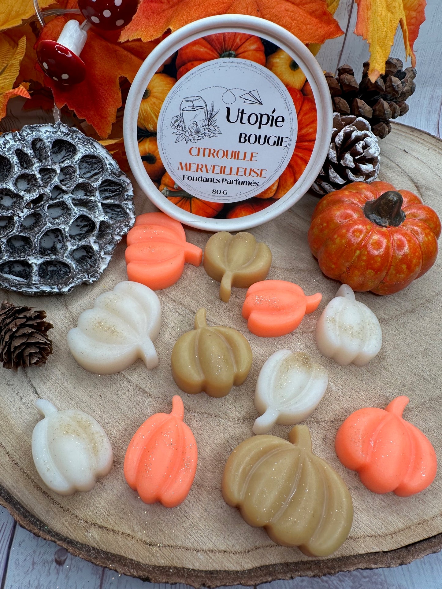 Citrouille 'Citrouille Merveilleuse'