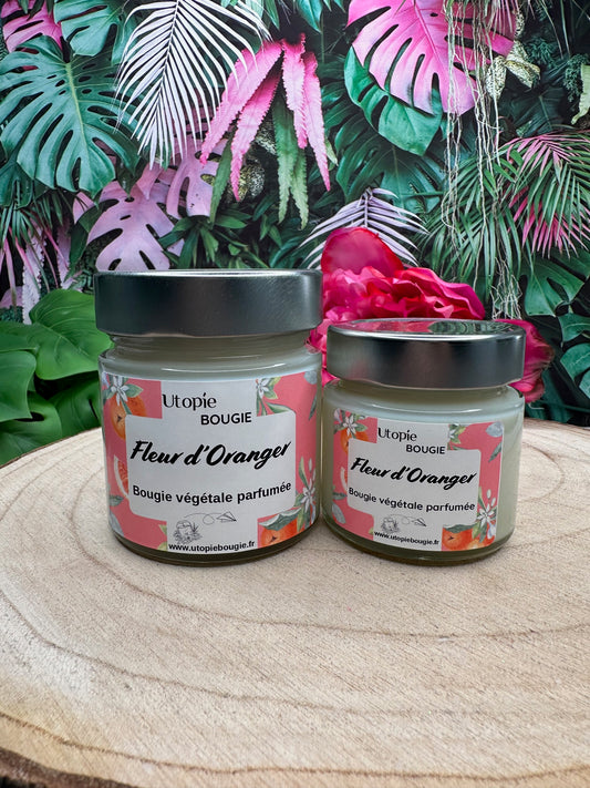 Fleur d'Oranger