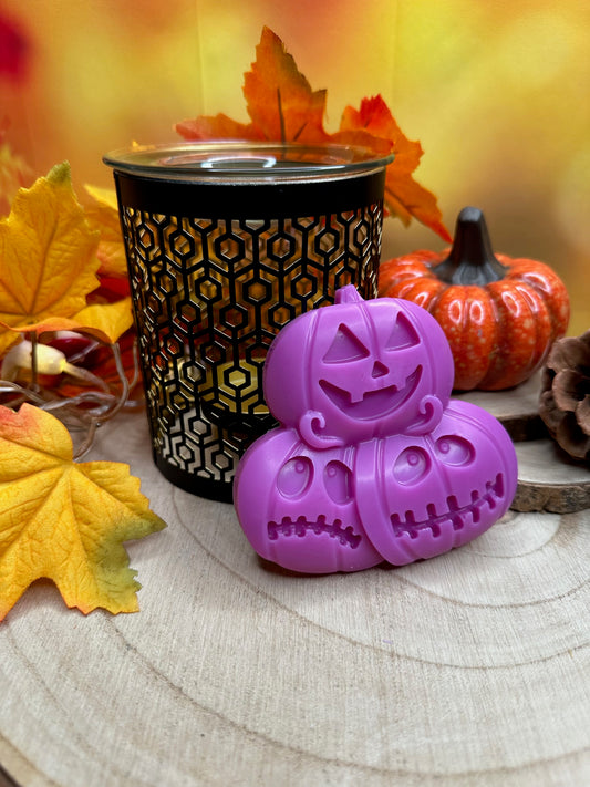 Citrouille 'Potion Magique'