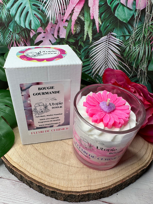 Gourmande 'Fleur de Cerisier'