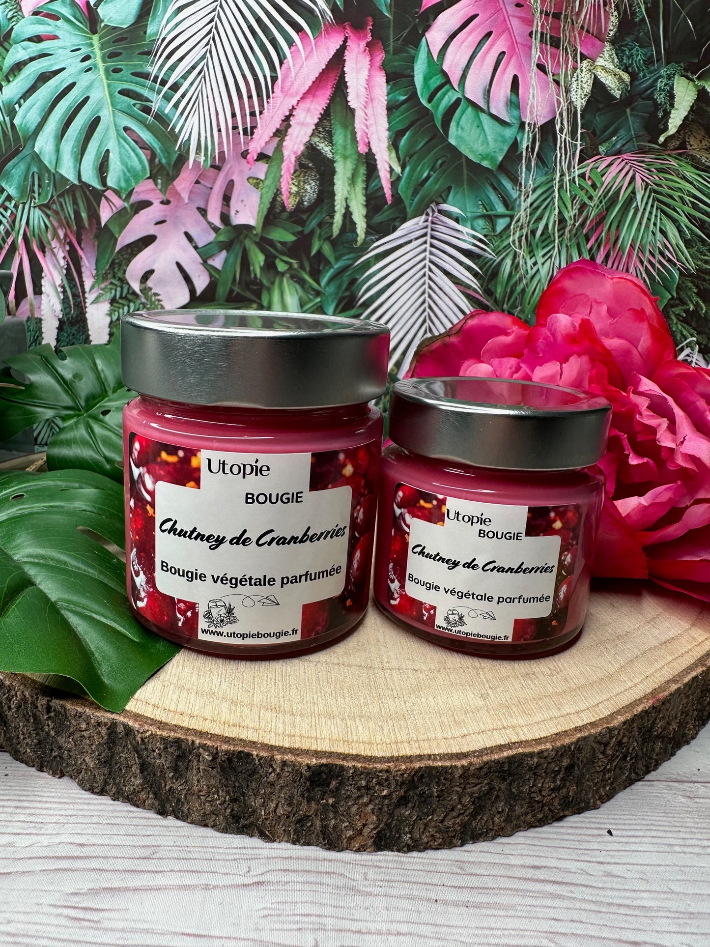 Chutney de Cranberries