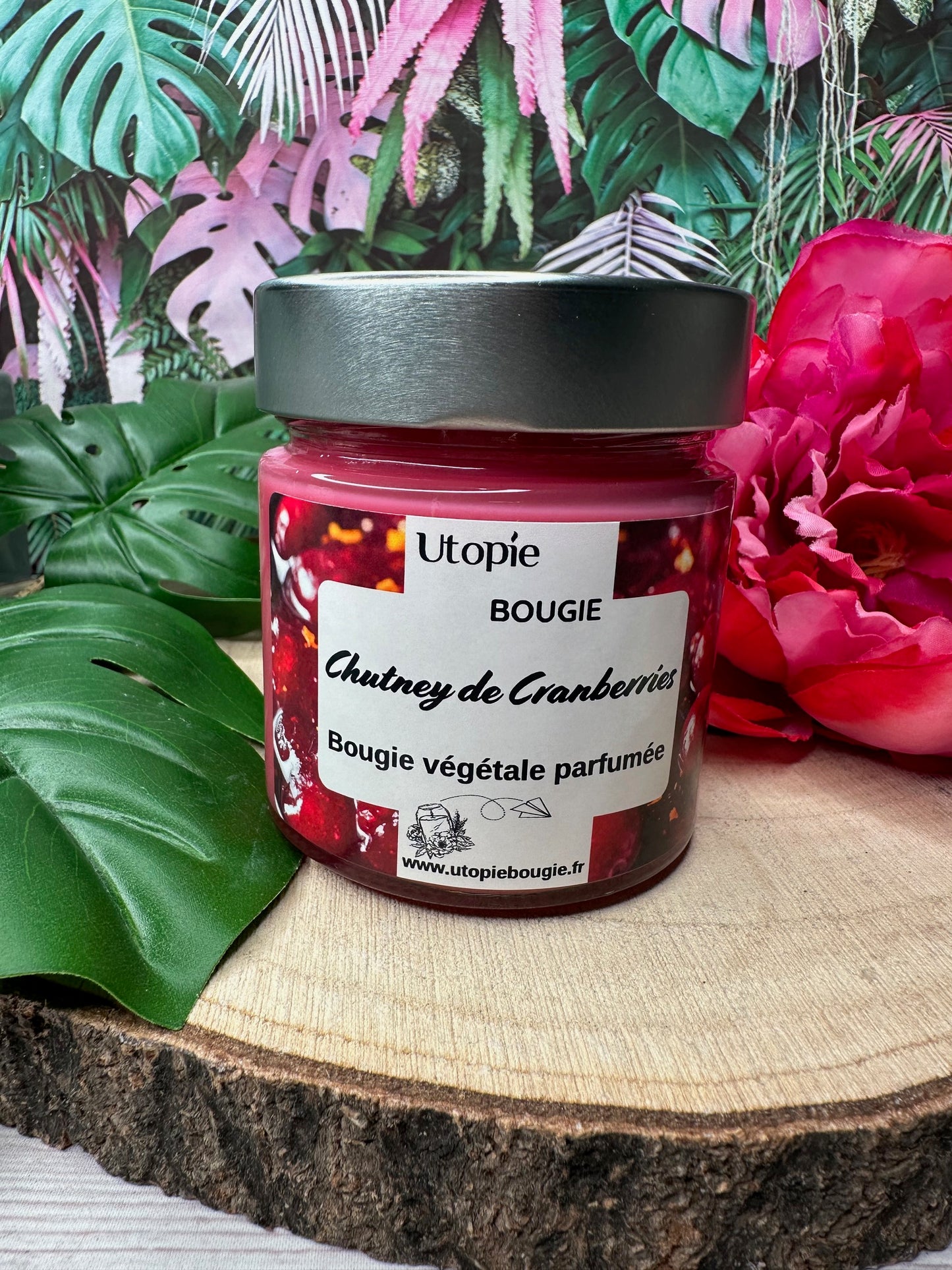 Chutney de Cranberries