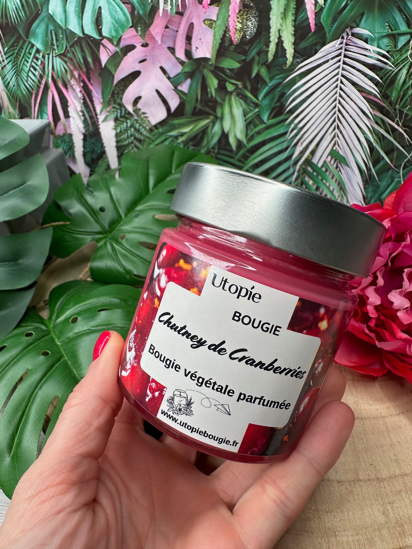 Chutney de Cranberries