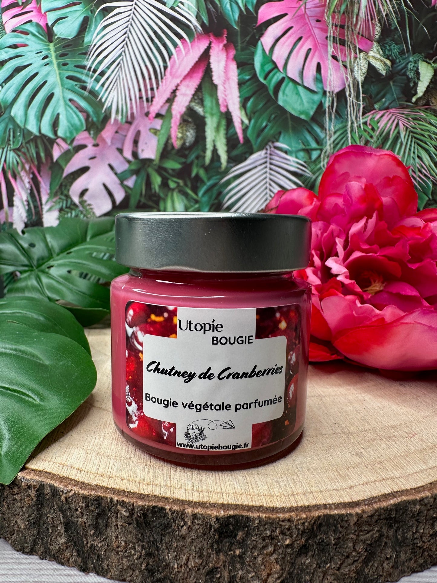 Chutney de Cranberries