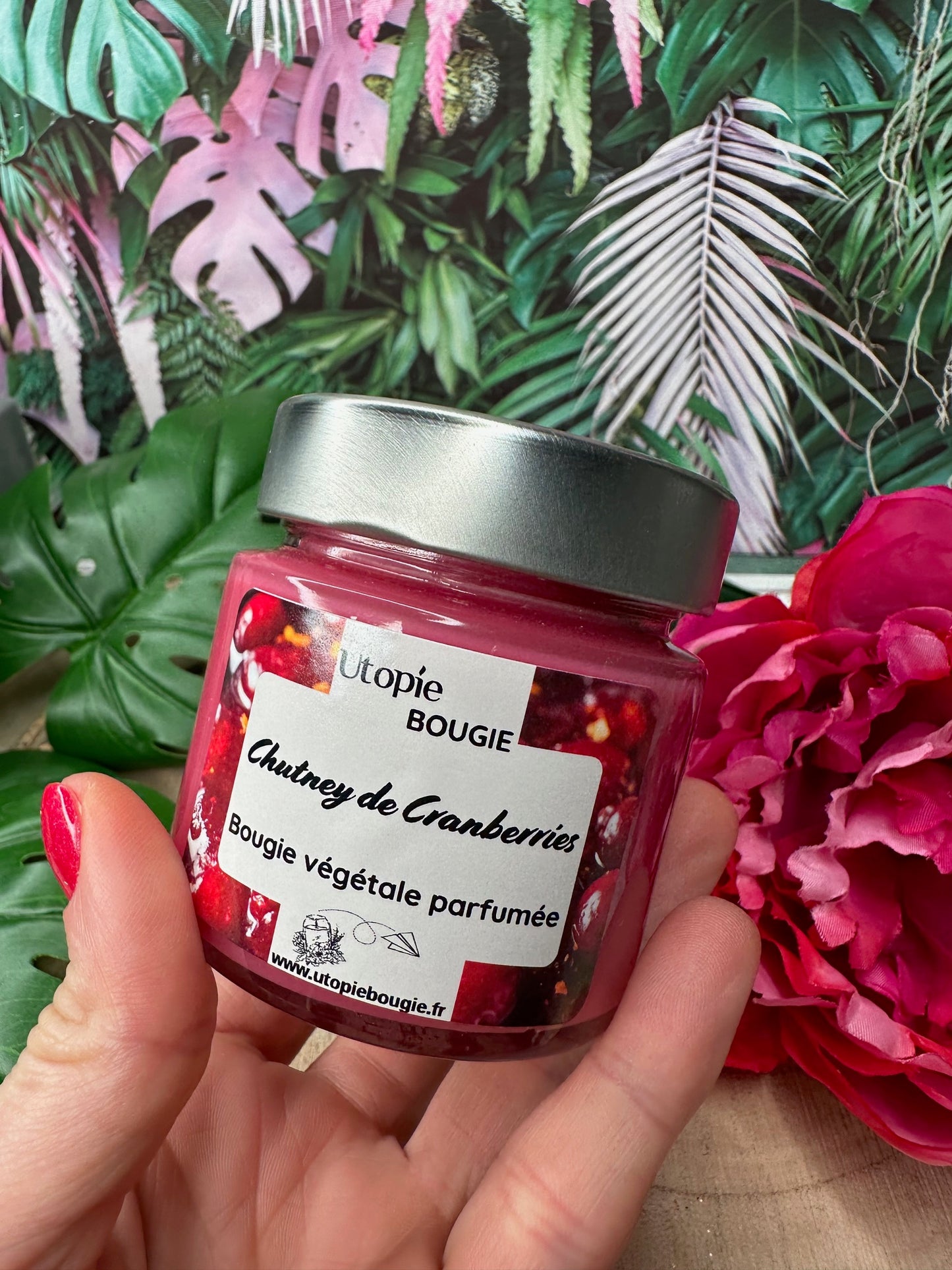 Chutney de Cranberries