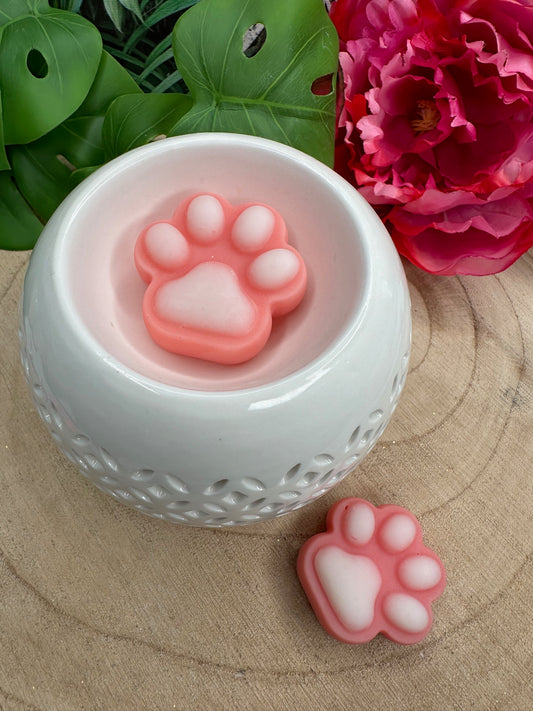 Patounes 'Coquelicot'