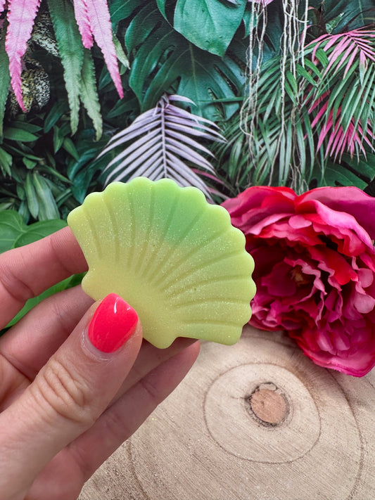 Coquille 'Ananas'