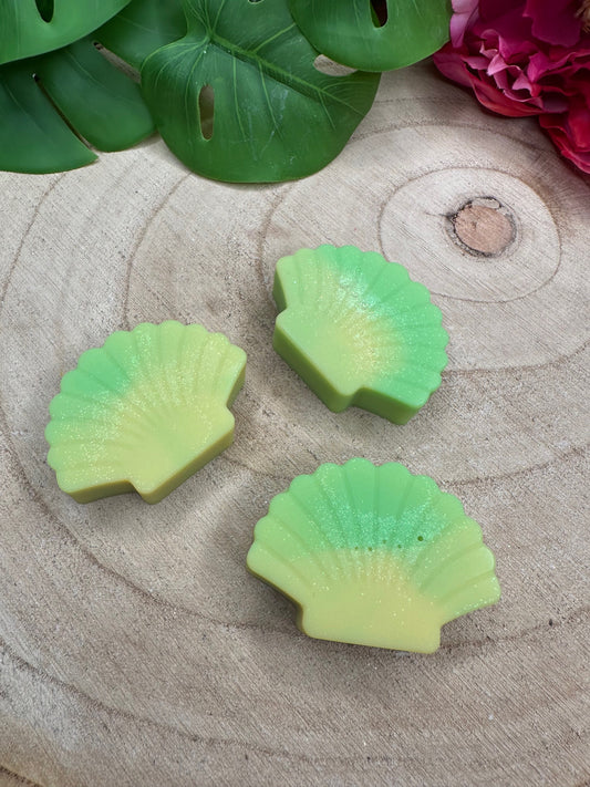 Coquille 'Ananas'